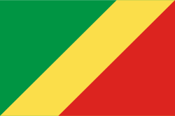 Democratic Republic of the Congo flag