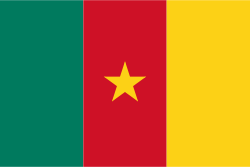 Cameroon flag