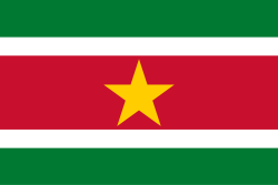 Suriname flag